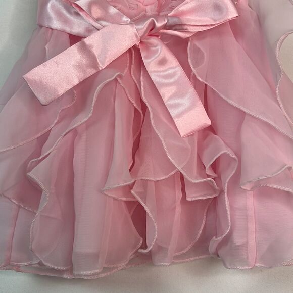 American Princess Pink Sleeveless Formal Party Dress with rosettes and ruffles - Picture 11 of 14